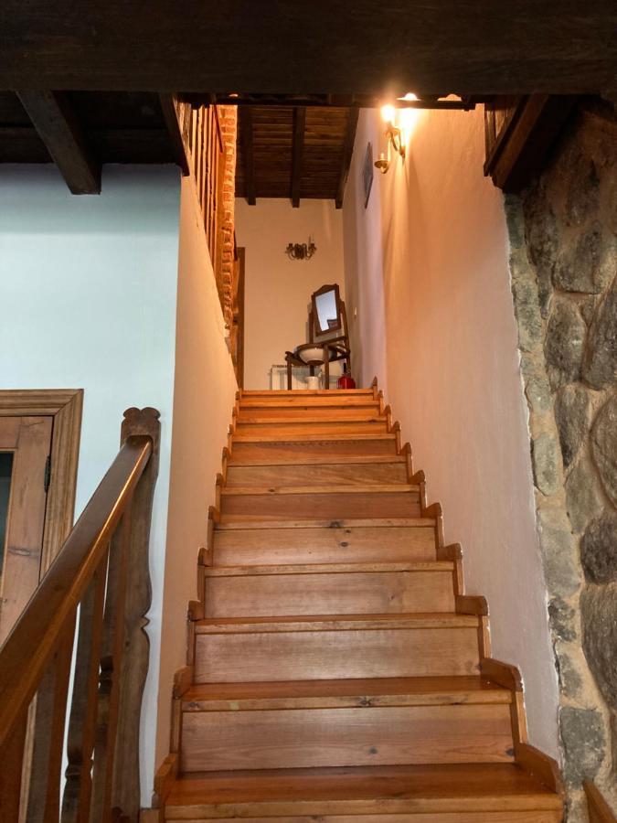 Country house Adelaida